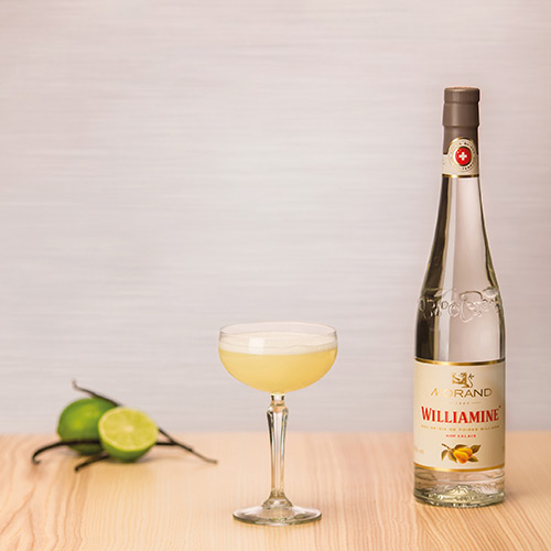 Williamine Vanilla Sky Williamine Vanilla Sky