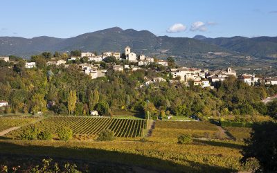 Vinsobres : cru des côtes du rhône