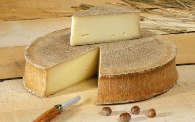 Abondance, fromage AOC/AOP de Haute-Savoie