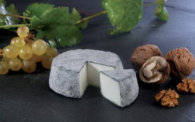 Selles-sur-Cher : fromage à pâte molle au lait de chèvre entier
