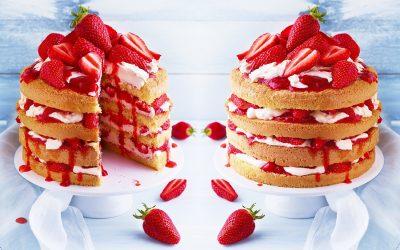 Fraisier express aux Fraises du Périgord IGP