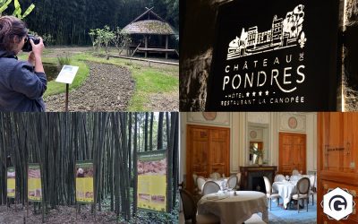 Visite de la Bambouseraie d’Anduze et escale au Château de Pondres