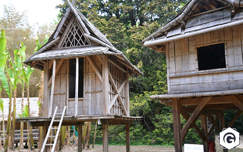 Village laotien bambouseraie