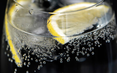 Le Gin Tonic