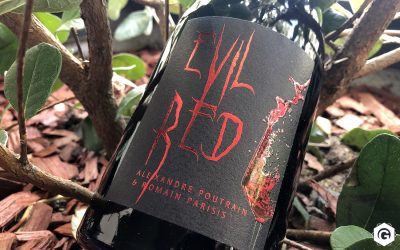 Evil Red, les Vignobles du Paradis – Vin Rouge AOC Chinon
