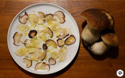 Carpaccio de cèpes au parmesan