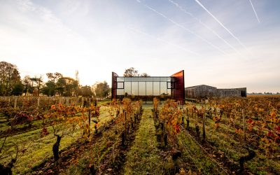 Château la Dominique – Grand cru classé de Saint-Emilion