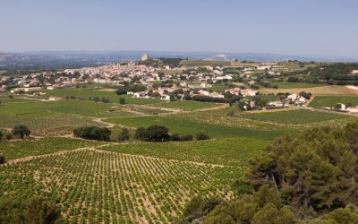 Domaine des Sénéchaux, AOC Châteauneuf-du-Pape