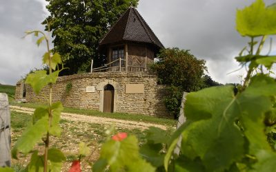 Cave des Vignerons des Terres Secrètes, le savoir-faire mâconnais