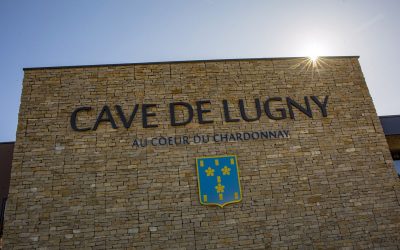 Cave de Lugny, vins du Maconnais