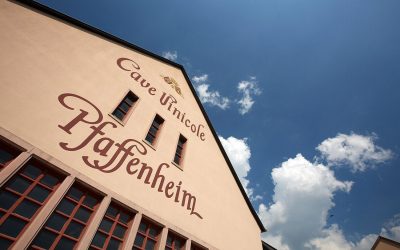 Pfaff, la Cave des Vignerons de Pfaffenheim