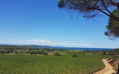 Les Maîtres Vignerons de Saint-Tropez