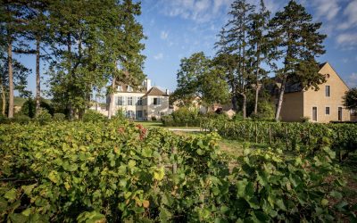 Maison Albert Bichot, vins de Bourgogne