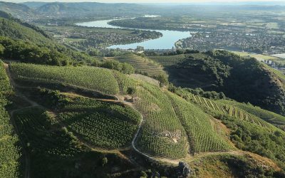 Domaine Courbis, vins de la vallée du Rhône