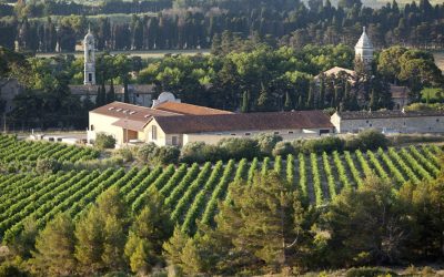 Château Calissanne ou l’Art de vivre en Coteaux d’Aix