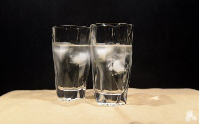 Cocktail sans alcool Cendrillon : Recette, conseils et service - Cocktail- sans-alcool.fr