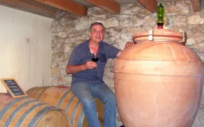 Lo Domeni, Vin biologique situé sur l’appellation Cahors