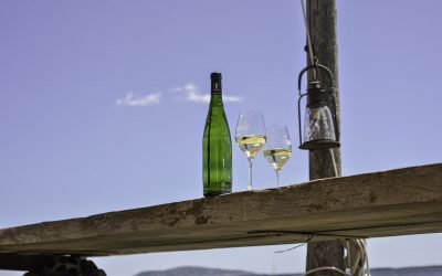 AOP Picpoul de Pinet, son terroir c’est la mer