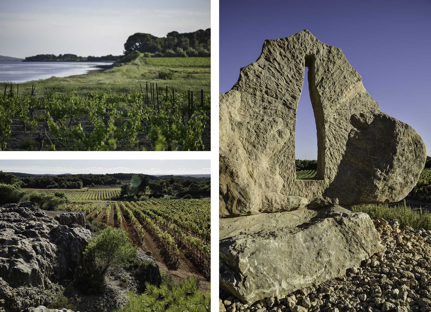 Terroir Picpoul de Pinet