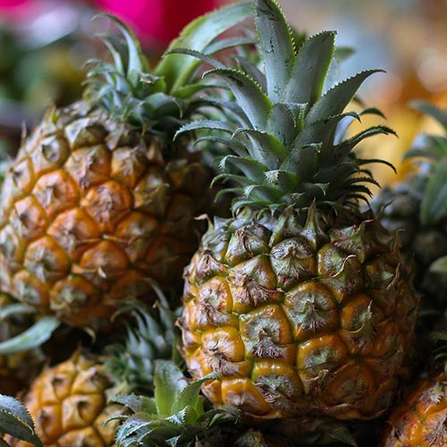 Recettes Ananas