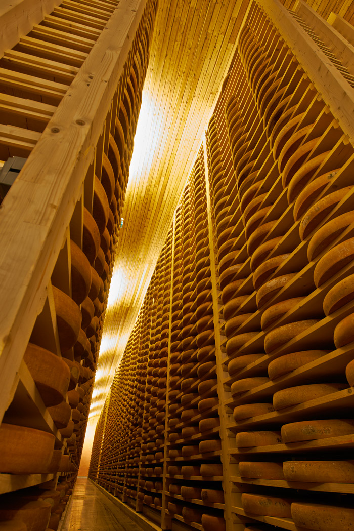 Portrait d'un grand fromage - Comté