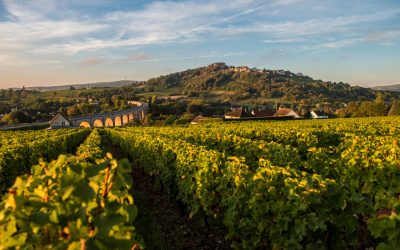 Domaine Laporte – Sancerre