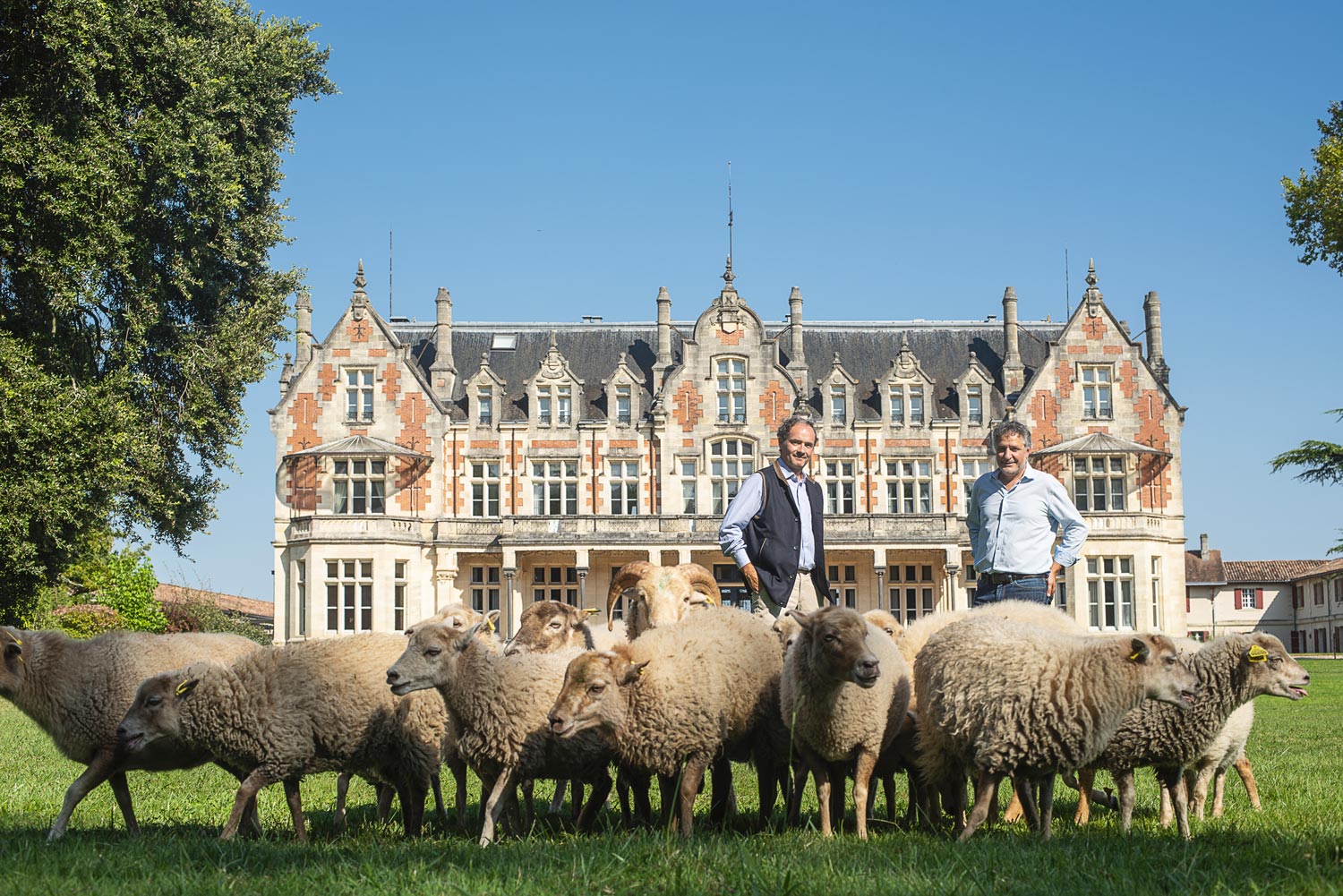 Moutons Château Cantenac Brown