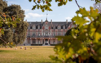 Château Cantenac Brown, Grand Cru Classé en 1855