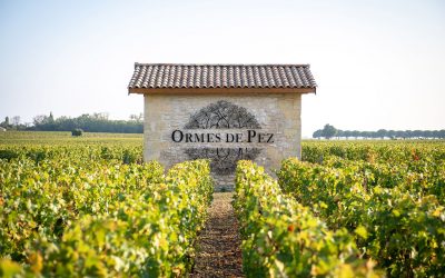 Château Ormes de Pez à Saint-Estèphe