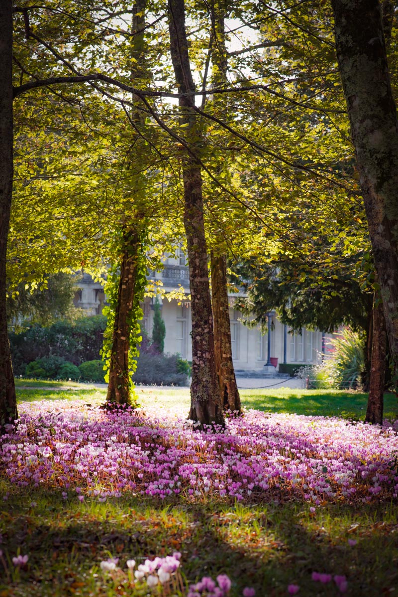 Parc Château Cantenac Brown