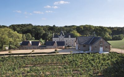 Château de la Mulonnière à Beaulieu-sur-Layon