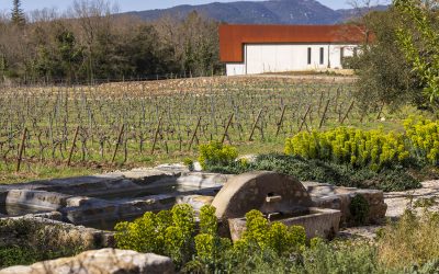 Domaine de Cala, vignoble d’exception en Provence