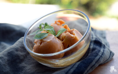 Sorbet à la pêche jaune et verveine