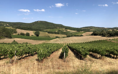 Corbières, une appellation de l’ouest sauvage du Languedoc