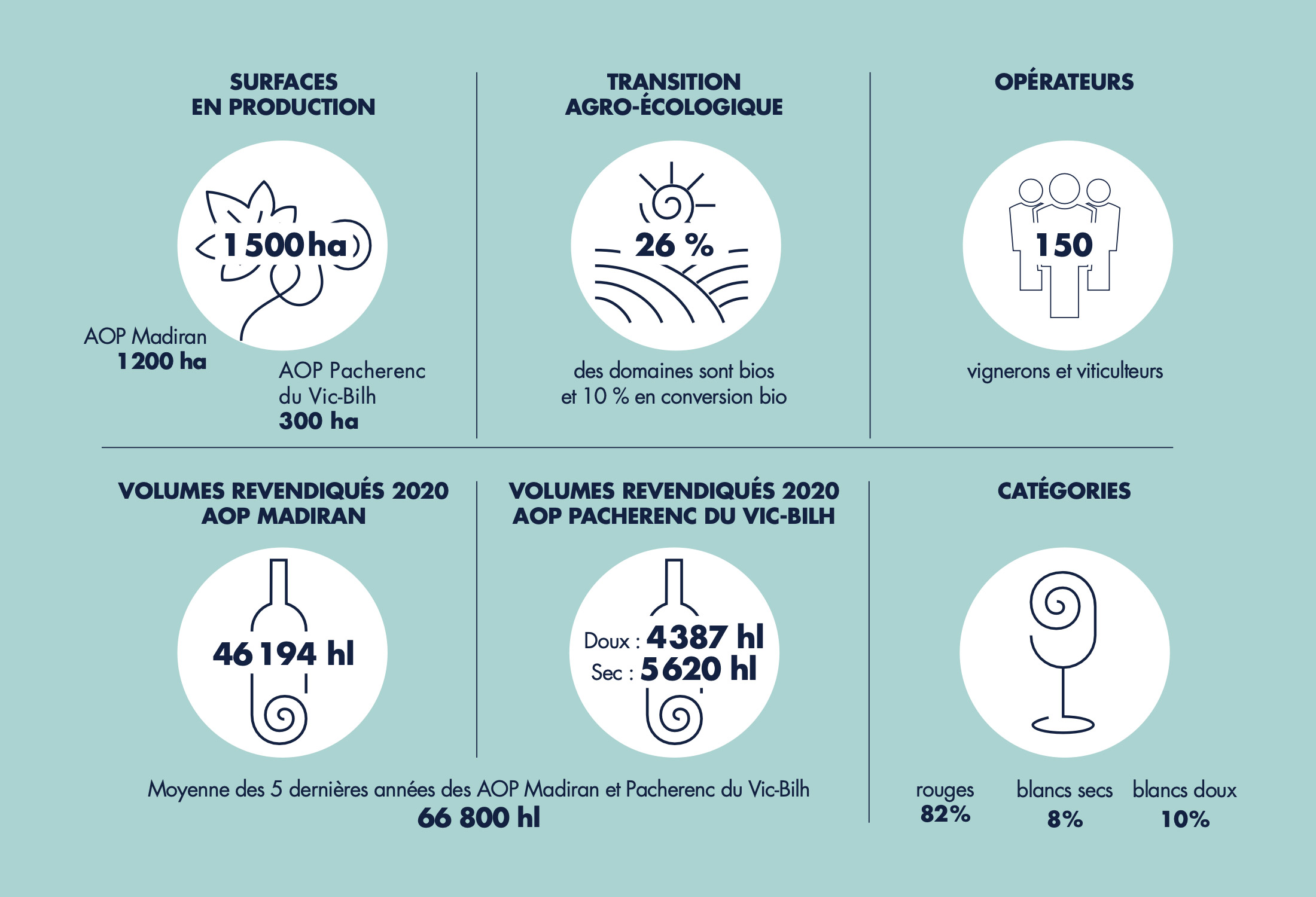 Infographie Madiran et Pacherenc du Vic-Bilh