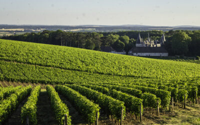 Appellations Pouilly-Fumé et Pouilly-sur-Loire