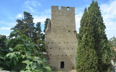 Domaine de la Tour Boisée à Laure-Minervois