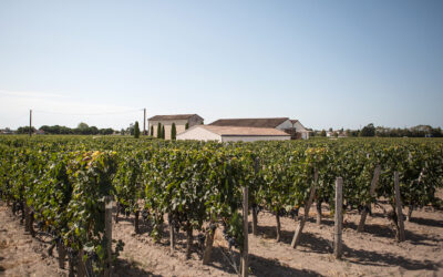 Château La Croix Du Casse – Pomerol